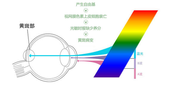 超薄镜片什么原理,超薄镜片最薄是多少