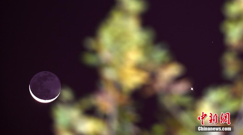 2012尤文图斯阵容-爱游戏APP（中国）官方网站下载_AIYOUXI体育