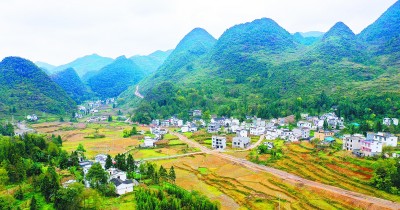 “茶”“菜”发力 致富加速
