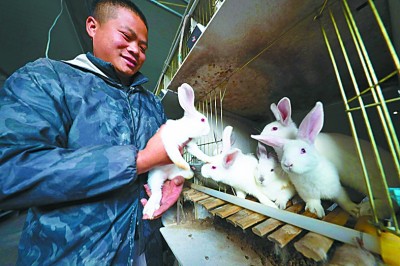 “茶”“菜”发力 致富加速