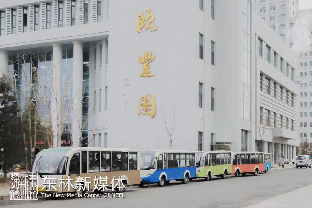 在慌忙的校园路上