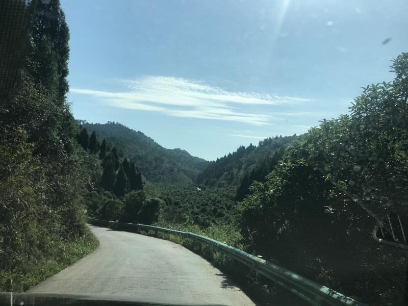 县施秉从塘到翁城村公0多2山的盘里本路基公宽这么都。