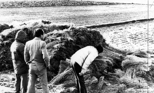 ��������ɱ�˰��ֳ��������磩