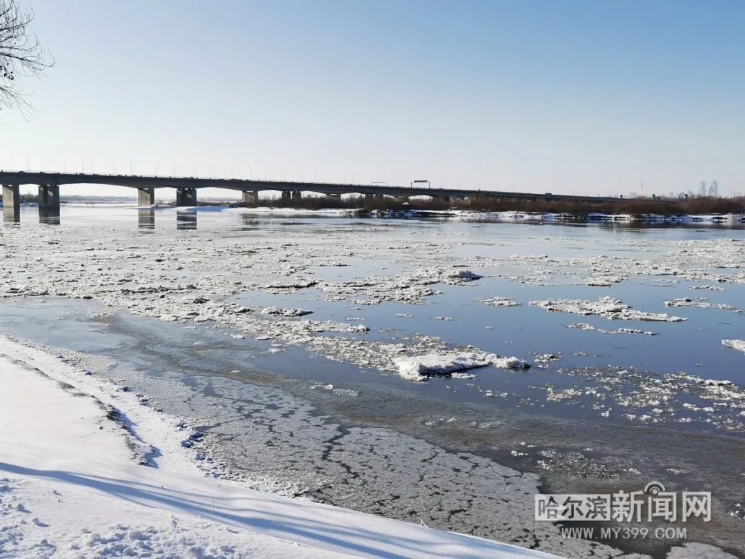 黑龙江和嫩江干流部分江段封冻~松花江哈尔滨段江面开始跑冰排啦!