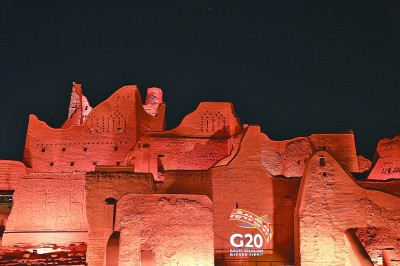 沙特人口负担_沙特人口分布图(3)