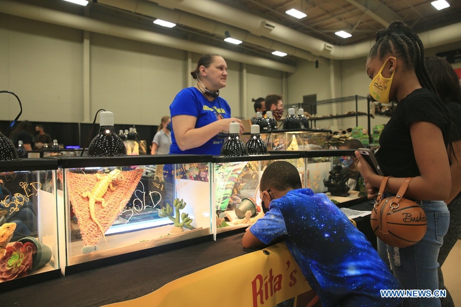 Exotic reptile & pet show held in Louisiana, U.S. - World News - SINA