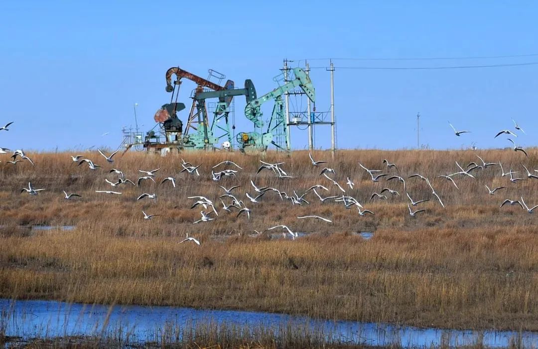 吉林省有多少人口2017_吉林省有等高线的地图(3)