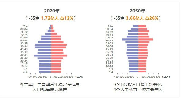 人口老龄化与长寿风险_健康长寿图片