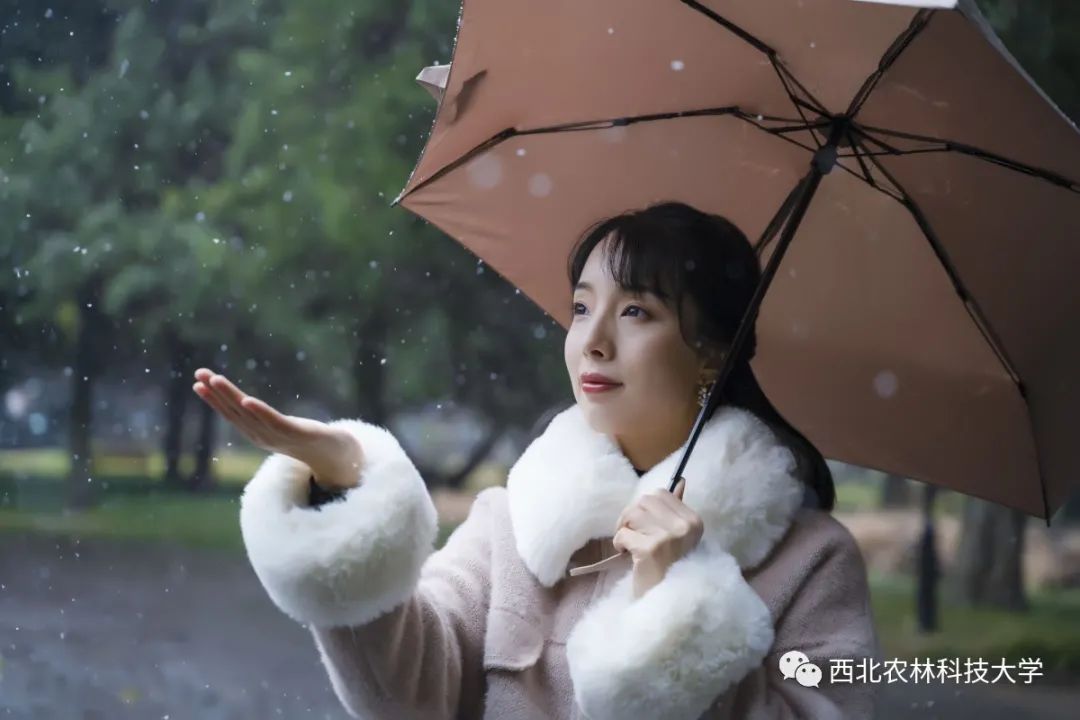加速的心跳声,是雪落的鼓点