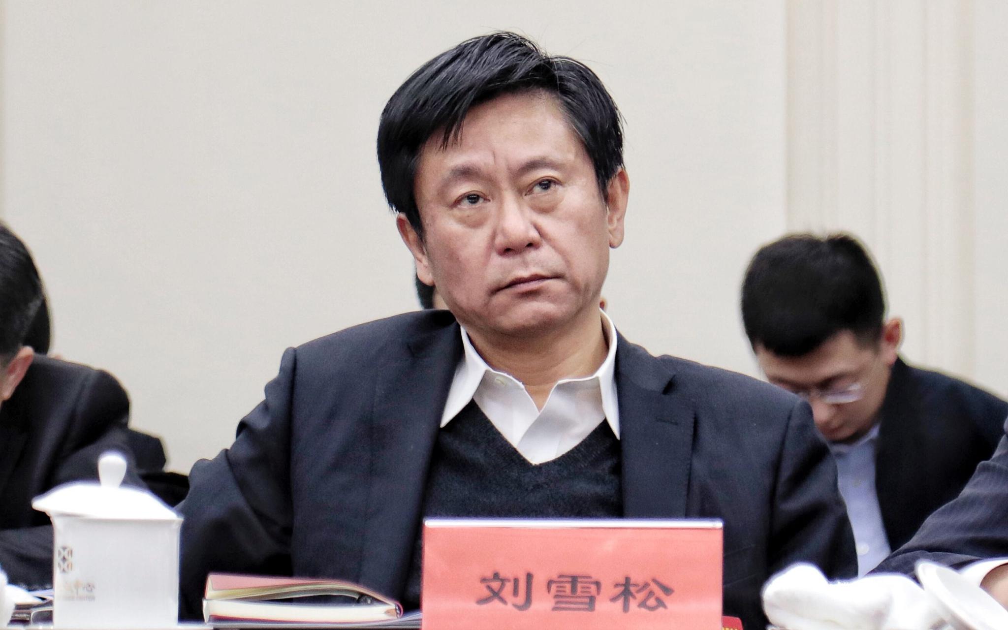 北京市人大代表、首都机场集团总经理刘雪松。摄影/新京报记者 王嘉宁