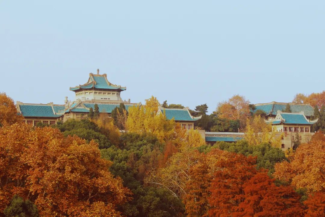 错落什么什么的成语_成语故事图片(2)