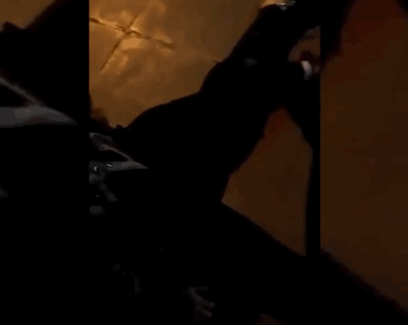 多家外媒炒作伊朗政府向抗议者开枪 警方否认