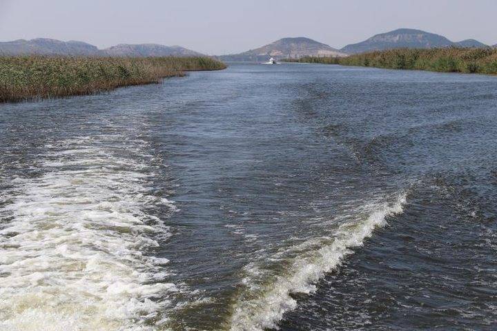 东平 gdp_东平白佛山(3)