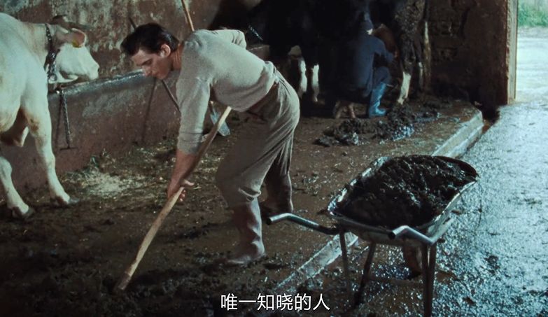 打败《小丑》拿下影帝,他凭什么 打败《小丑》拿下影帝,他凭什么