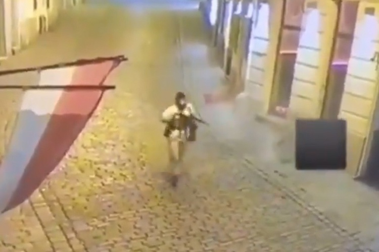 奥利地恐袭案背后:每3人就有1把枪 欧洲控枪最
