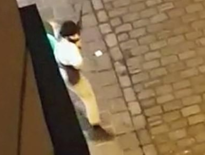 奥利地恐袭案背后:每3人就有1把枪 欧洲控枪最
