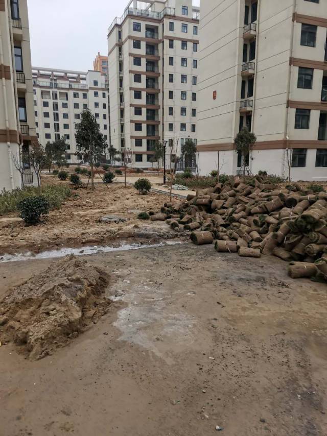 未竣工验收就强交房 阜阳居安置业兰庭苑项目被