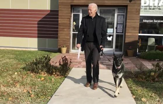 特朗普回应拜登扭伤脚踝：早日康复！