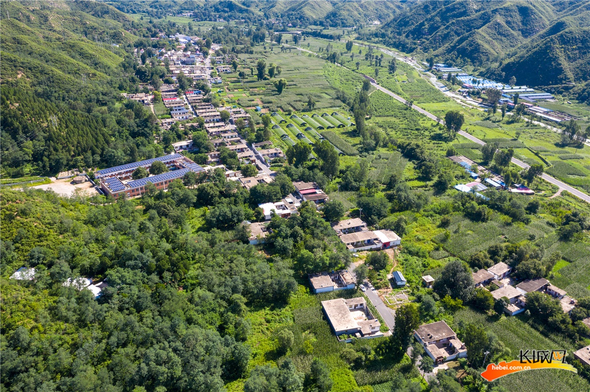 保定村人口_保定人口(2)