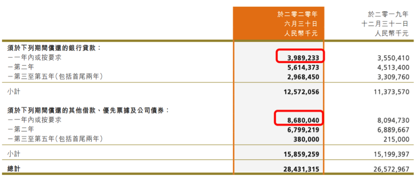 图片来源:新力控股半年报