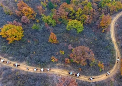 德昌马帮队走在山路上