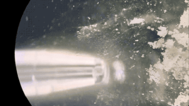 全球首个活体机器人诞生了