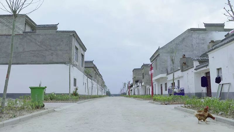 《国家监察》第三集:扶贫畏难 副省长老板组＂开