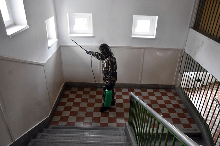 ������ʿ���Ե���һ��Сѧ������ɱ����ͼԴ�������磩