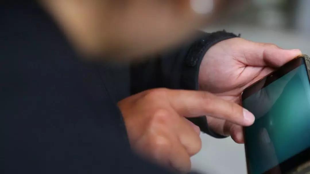 广西涠洲岛海域拍到布氏鲸水下影像：系国内首