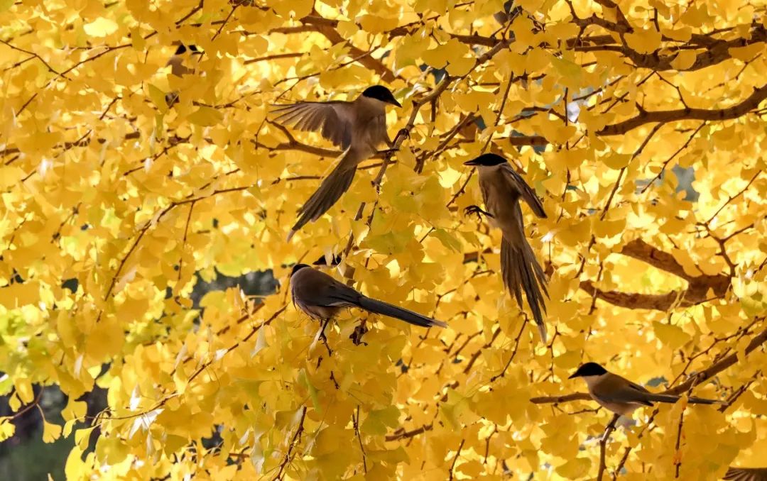 穷什么尽什么成语_成语故事图片(3)