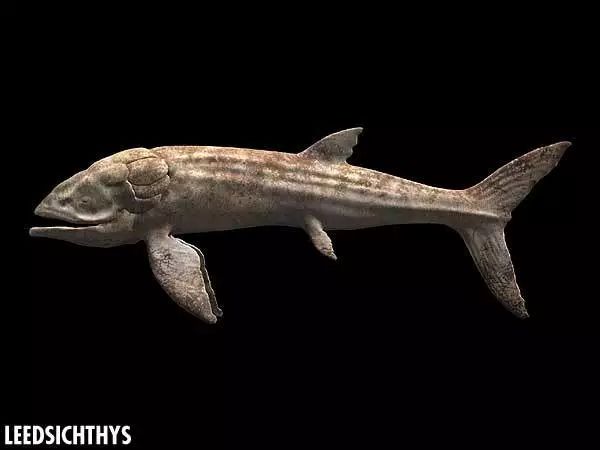 侏罗纪巨嘴鱼,犹如海中吸尘器