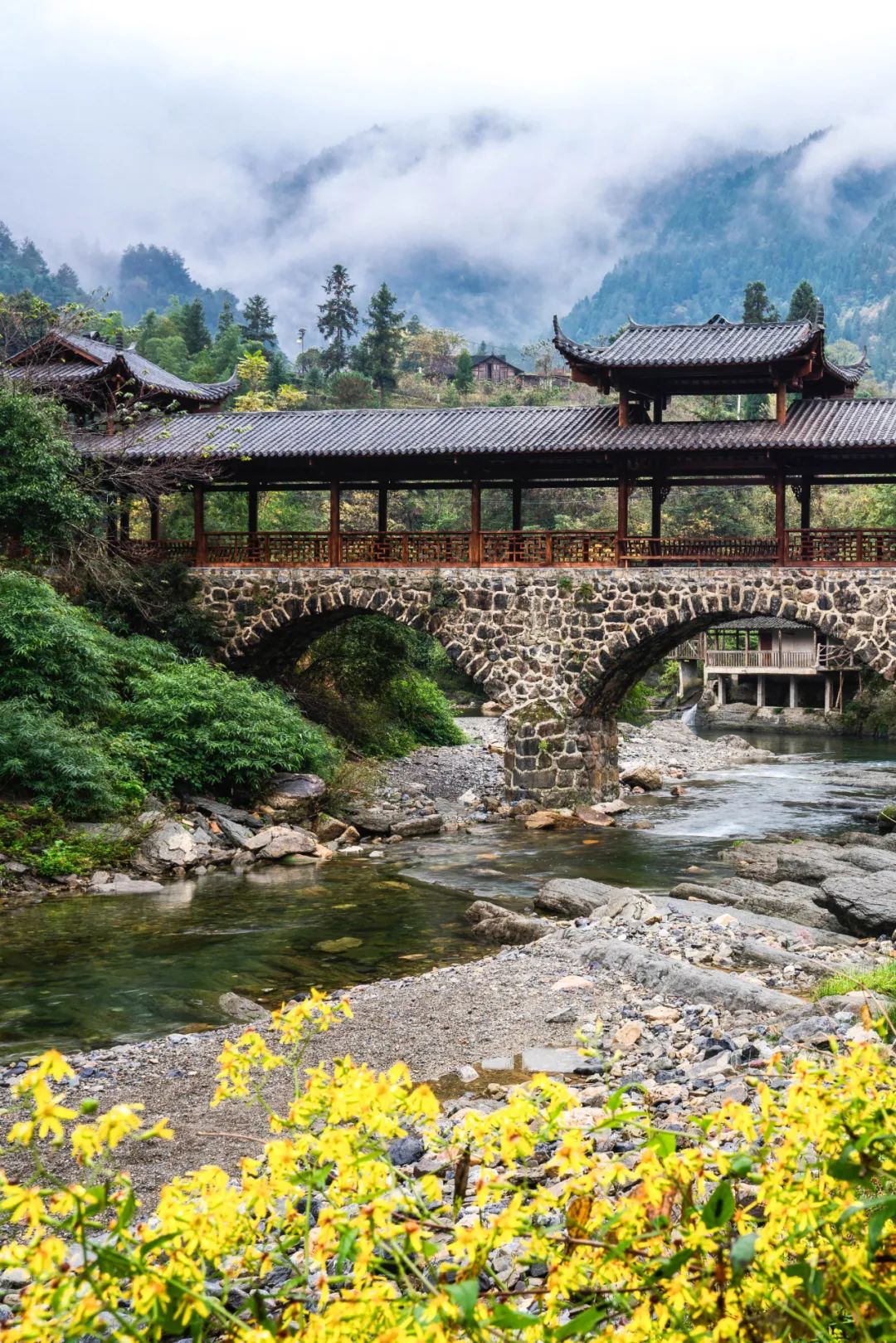 巴留多少人口