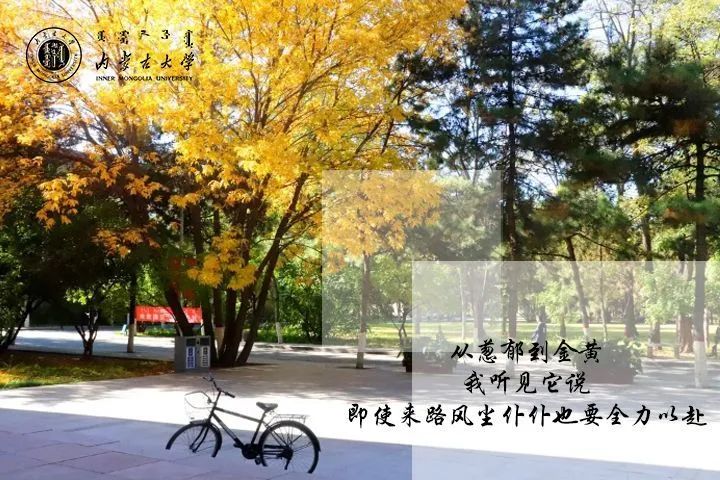 互动   考研心语   距离2021年考研