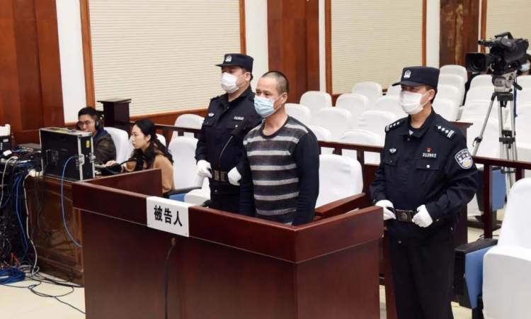 一男子在崇明非法捕杀109只野生鸟类，被判刑1