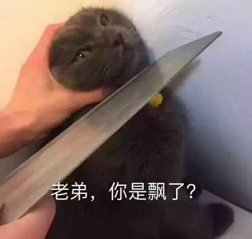 有美国驻军，邻沙特的小国，为何敢挺伊朗？