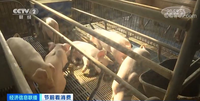 15万吨冻猪肉已“发货” 还有一大拨在路上