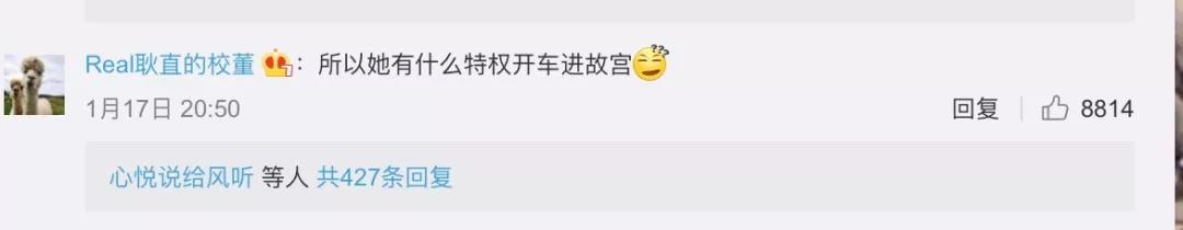 白岩松：放车进故宫的人也该“投案自首”