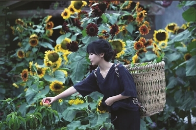 李子柒走红惹争议 本人回应：农村种菜种树并不