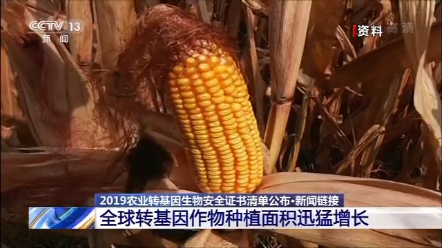 农业农村部公布2019年农业转基因生物安全证书清