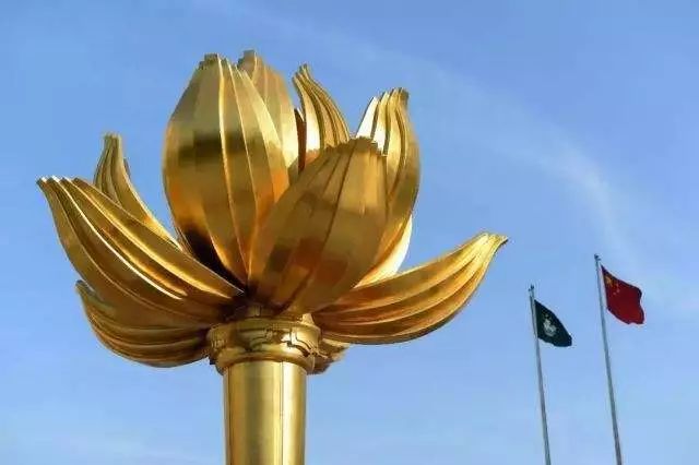 2019澳门gdp_2019年度热文丨从1999到2019,“产业多元”引路澳门经济