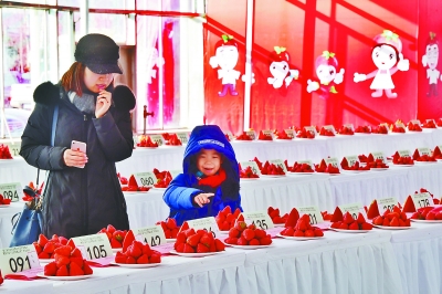 昌平跨年欢庆草莓节