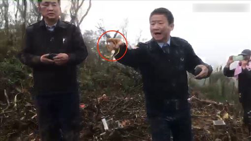 “黑鹰”失事现场的“吹哨人”:哨声速曝失事位