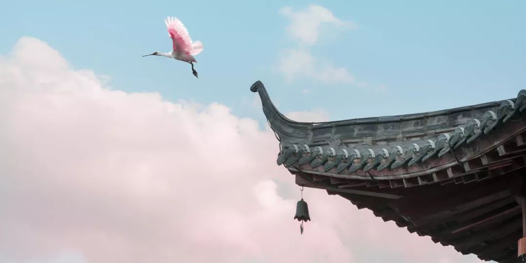 今日大寒 | 人间至此冬色尽,愿君多珍重!