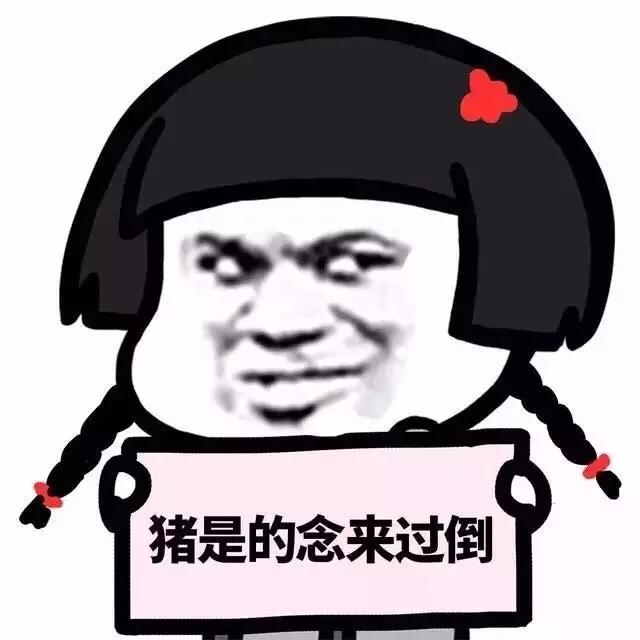 套路表情包合集给你一句话倒过来念我要你做我男朋友