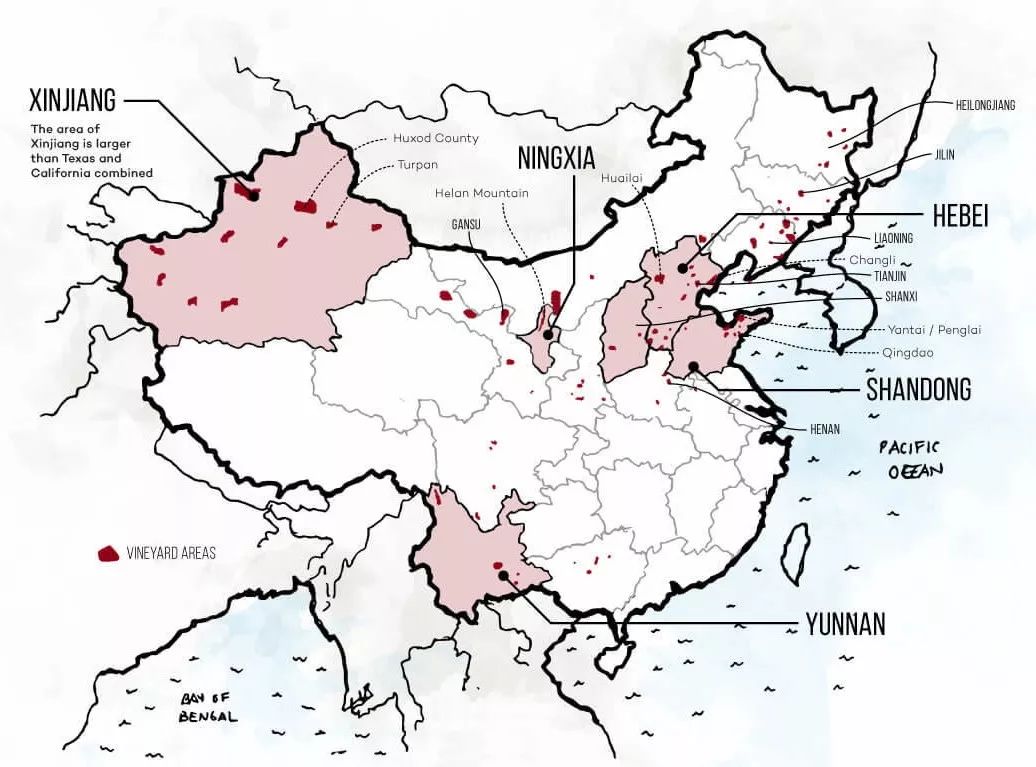 带你一次喝遍各大产区100多款中国葡萄酒