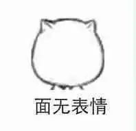 "你什么意思"