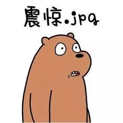 哈哈哈笑死我了~那些最容易被亲戚误解的专业!学计算机,修电脑会吗?
