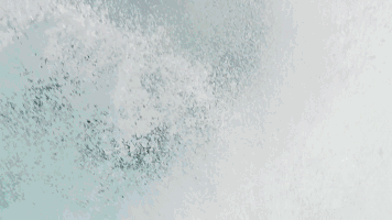 地球脉动这部豆瓣99分纪录片我想和每个热爱生命的你一起重温