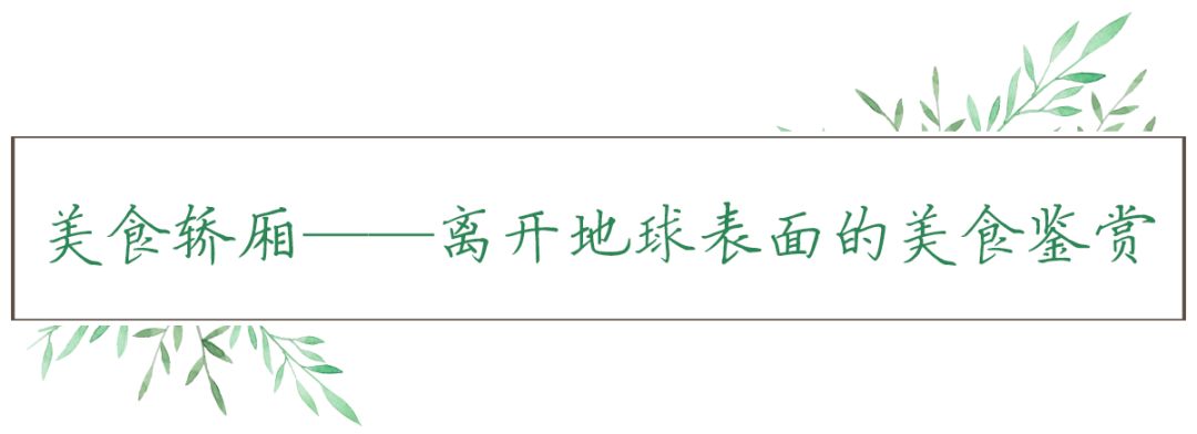 真正的“湾区之光”!128米高的摩天轮雏型初现,你期待吗