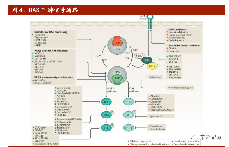 gdp与gtp有什么区别_究竟什么是GDP,为什么我们这么关注它